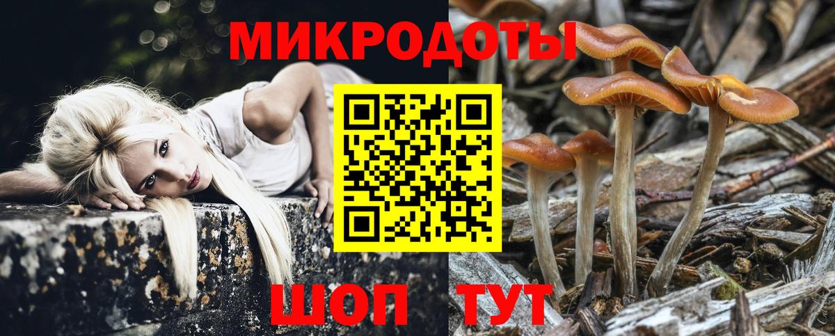 Псилоцибиновые грибы MAGIC MUSHROOMS  Вход с VPN  Псилоцибиновые грибы мухоморы  Братск 